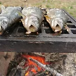 Maringotka Lesni Mlyn * Novy Rychnov