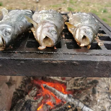 Maringotka Lesní Mlýn * Novy Rychnov