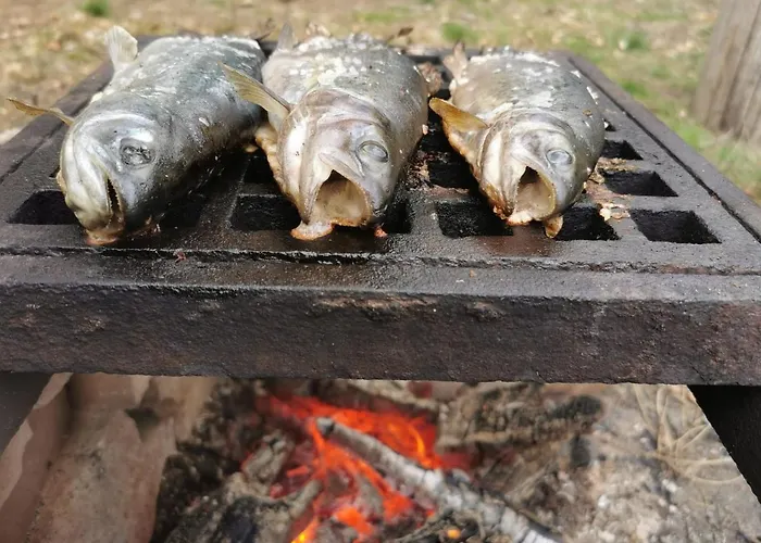 Maringotka Lesni Mlyn * Novy Rychnov